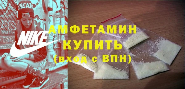 индика Волосово